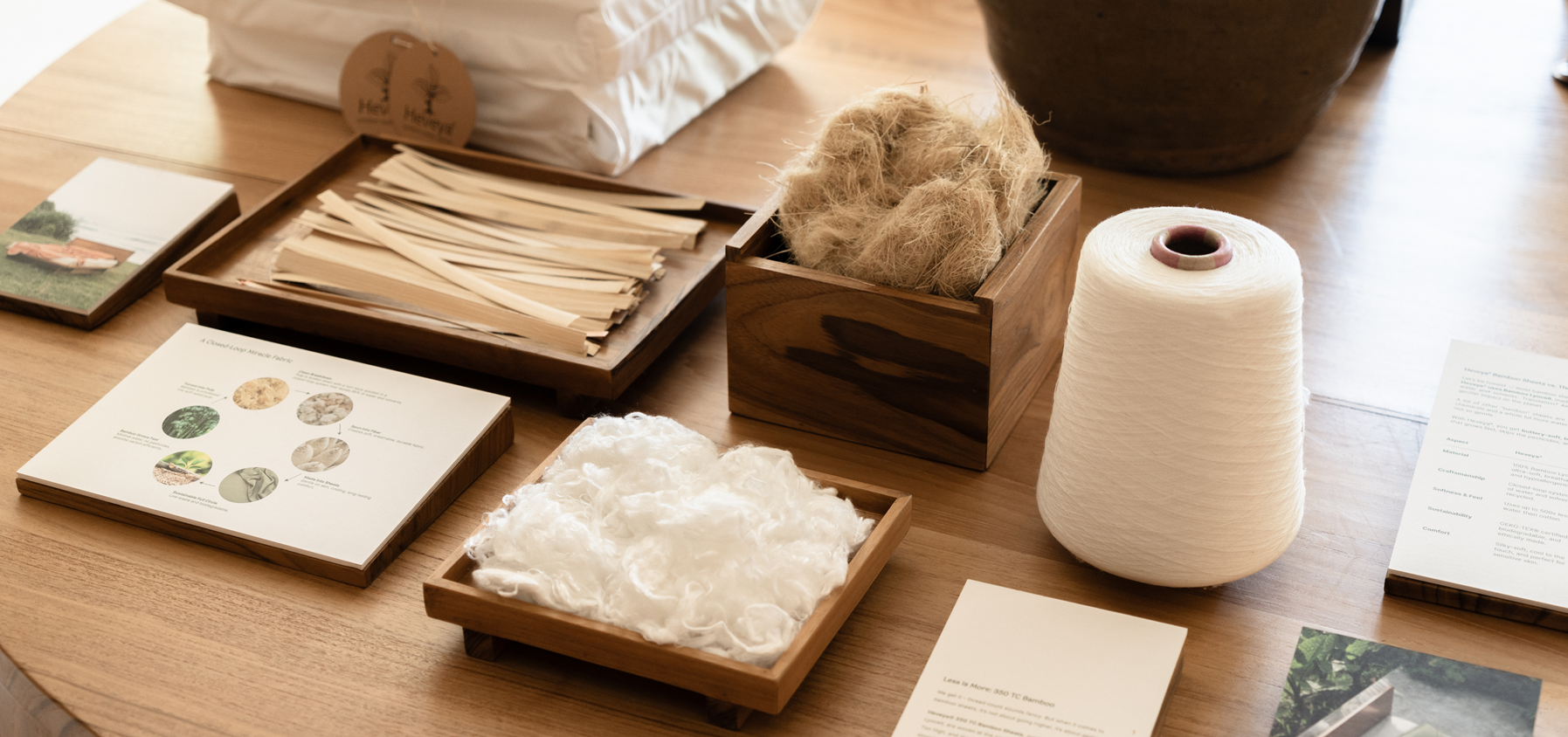 From Forest to Fabric: The Journey of Bamboo Lyocell