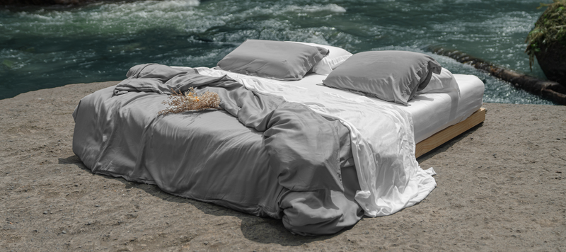 The Bamboo Guide: Everything you Need to Know