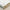 Organic Bamboo Lyocell Duvet